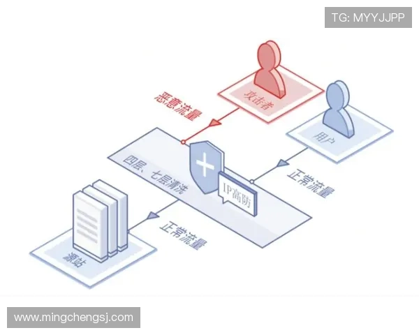 重庆羽毛球队区域防守战术解析及其在比赛中的应用策略