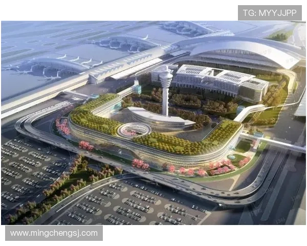 广州飞盘队近期状态深度对比分析及未来发展趋势探讨